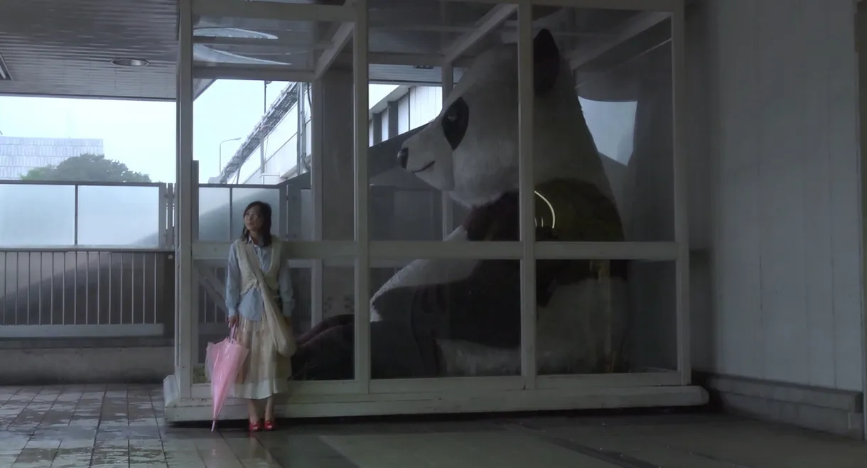 Tokyo Nameless Girl's Story