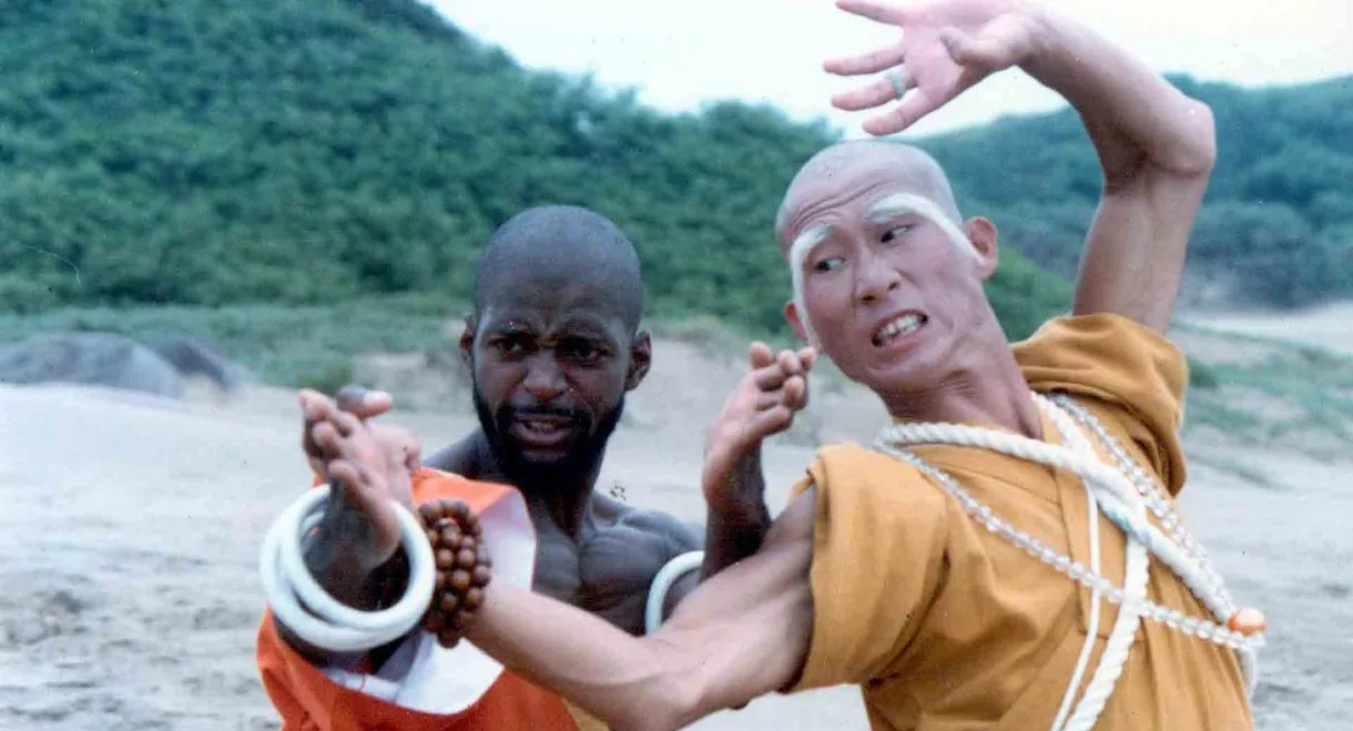 Shaolin Dolemite