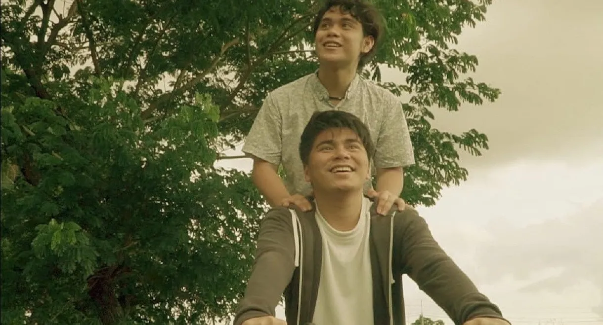 We Were Never Really Strangers