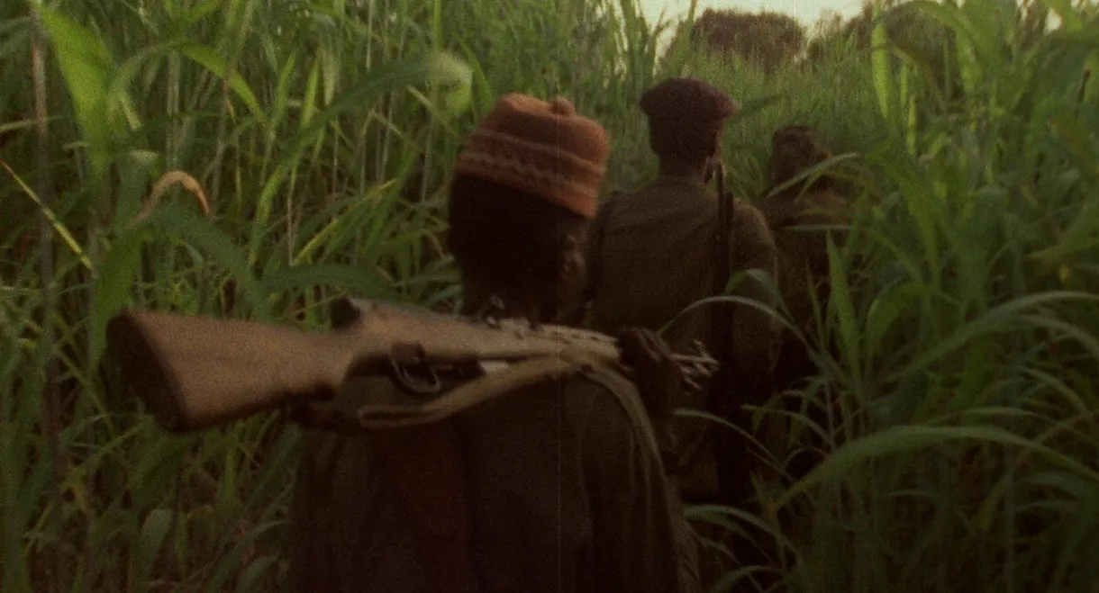Concerning Violence