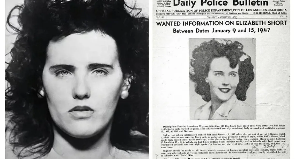 Black Dahlia Confidential
