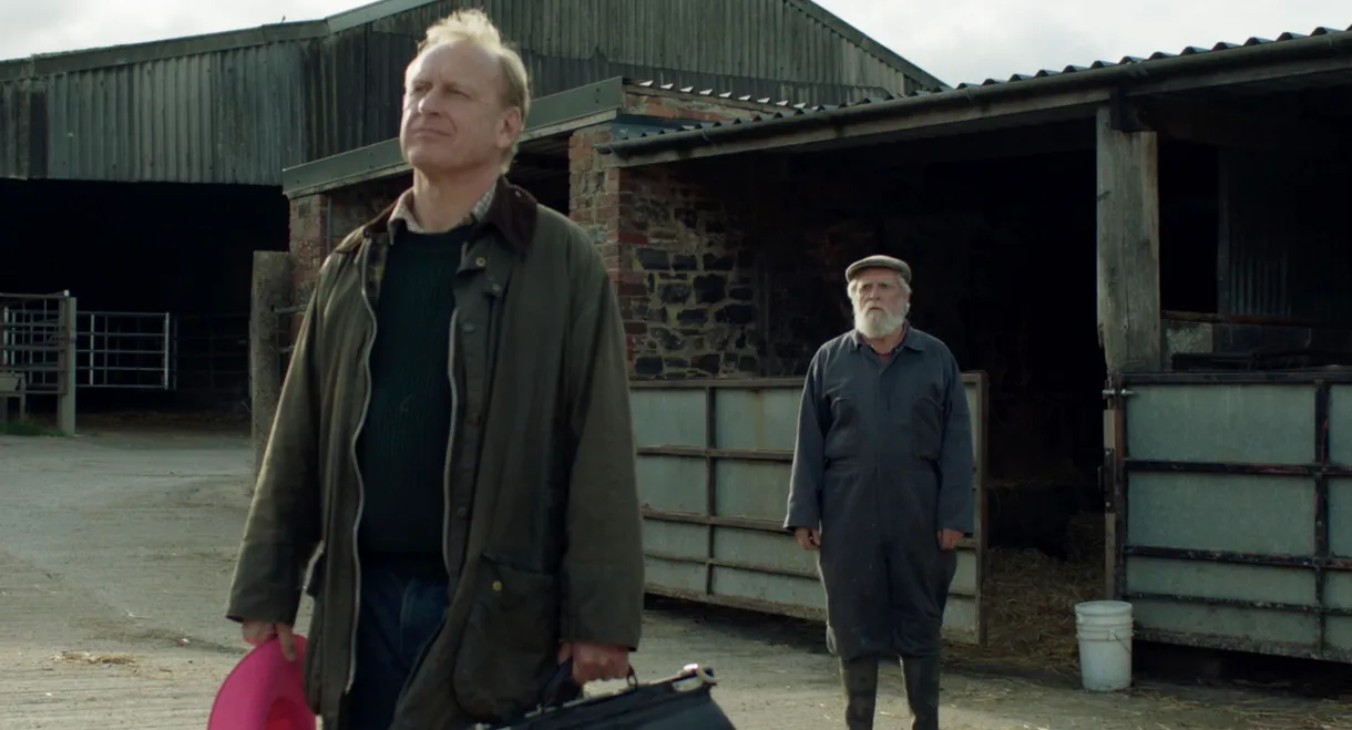 And Then Come the Nightjars