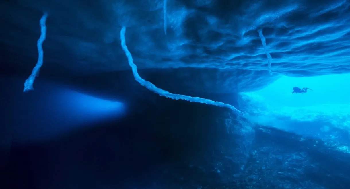 Antarctica, in the footsteps of the Emperor