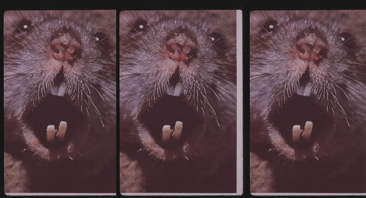 Living Without Menace