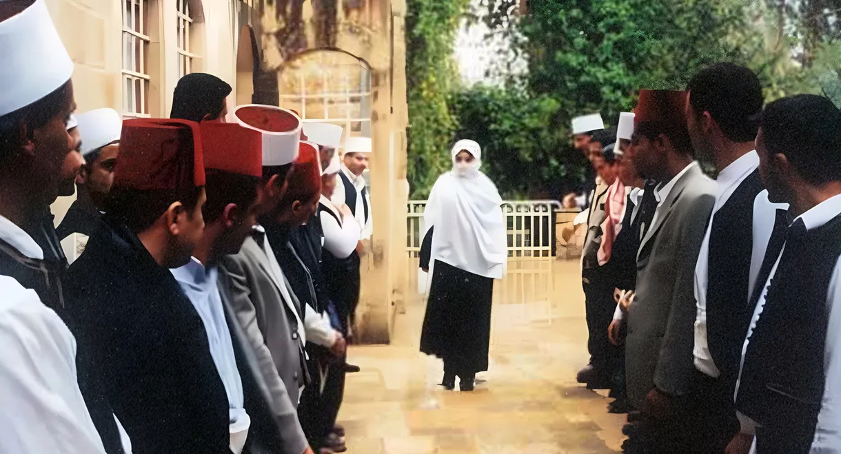 The Lady of the Palace