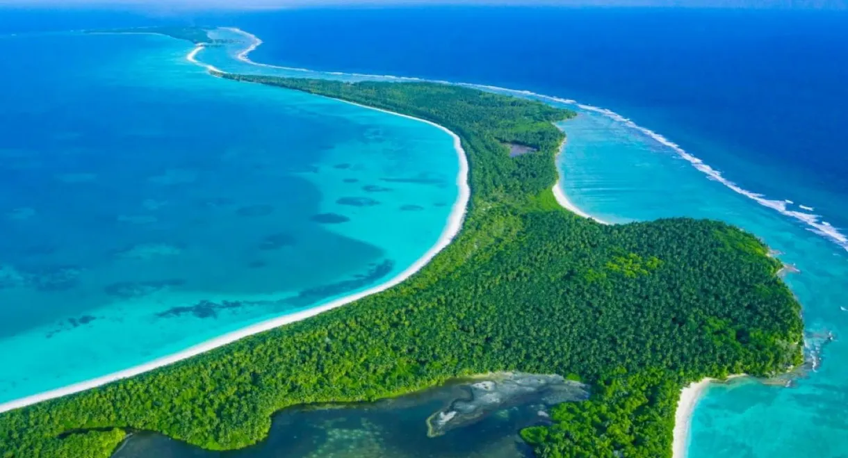 The Chagos Islands - Hope for Coral Reefs?