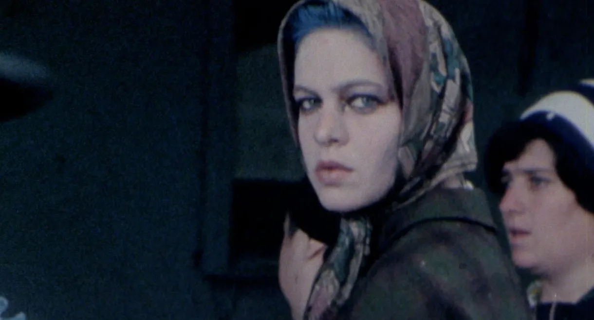 The Great Sadness of Zohara