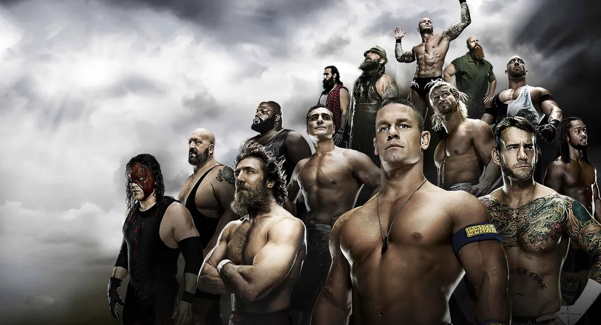 WWE Royal Rumble 2014
