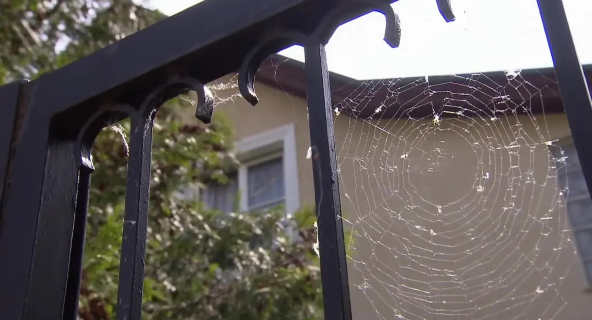 The Case of Kampusch: 10 Years after her Dramatic Escape