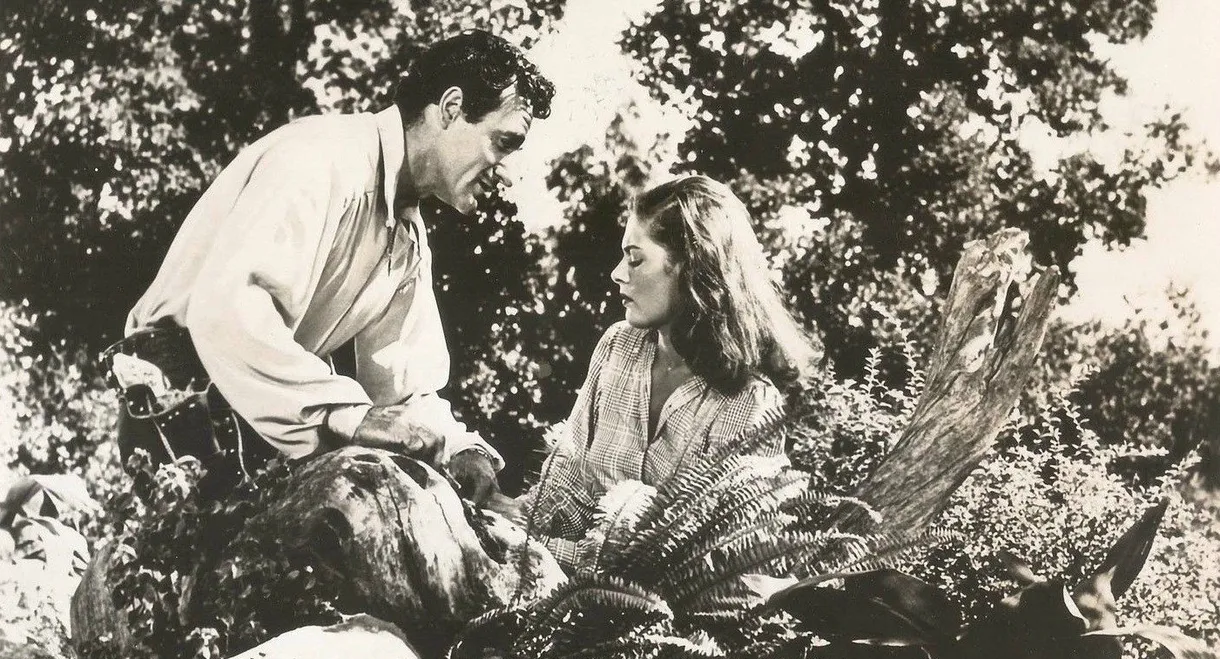 Beauty and the Bandit