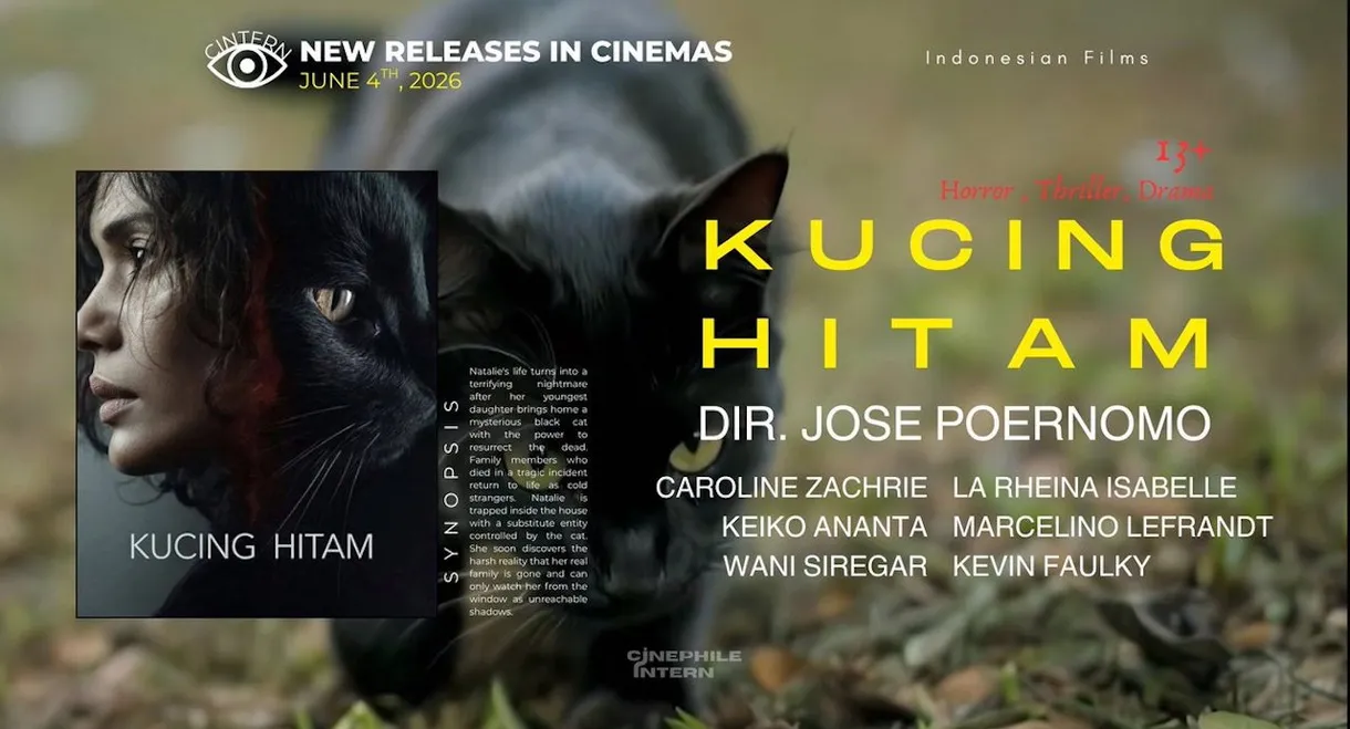 Kucing Hitam