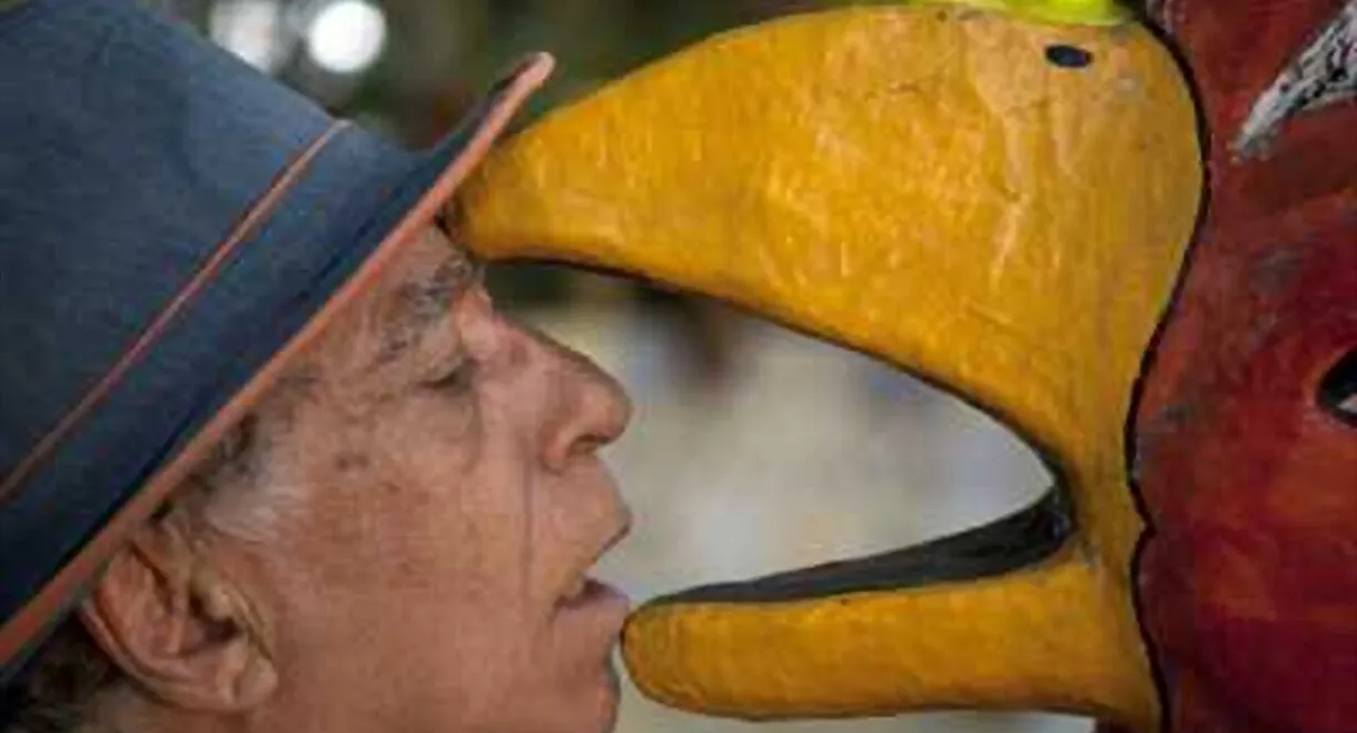 Neville D'Almeida: Chronicler of Beauty and Chaos