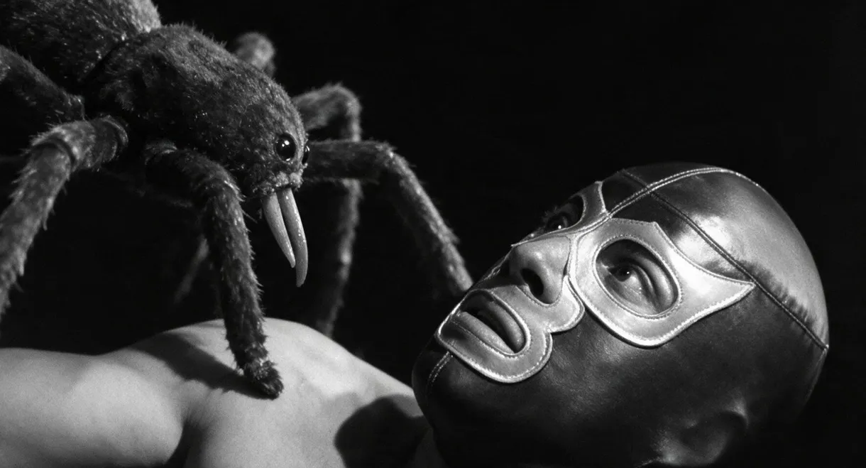 Hellish Spiders