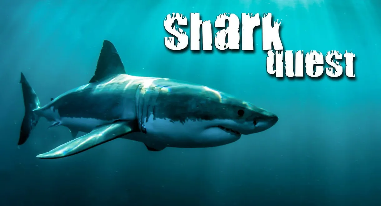 Shark Quest