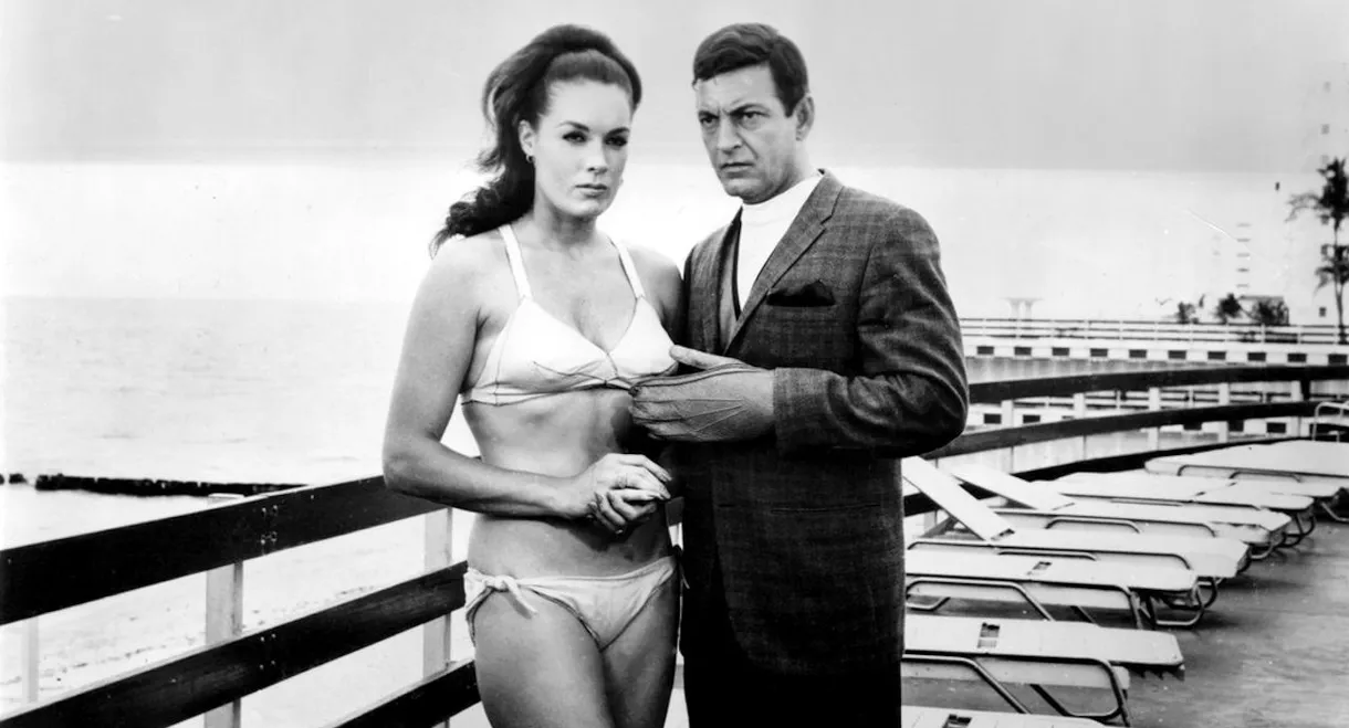 Danger...! Women in Action