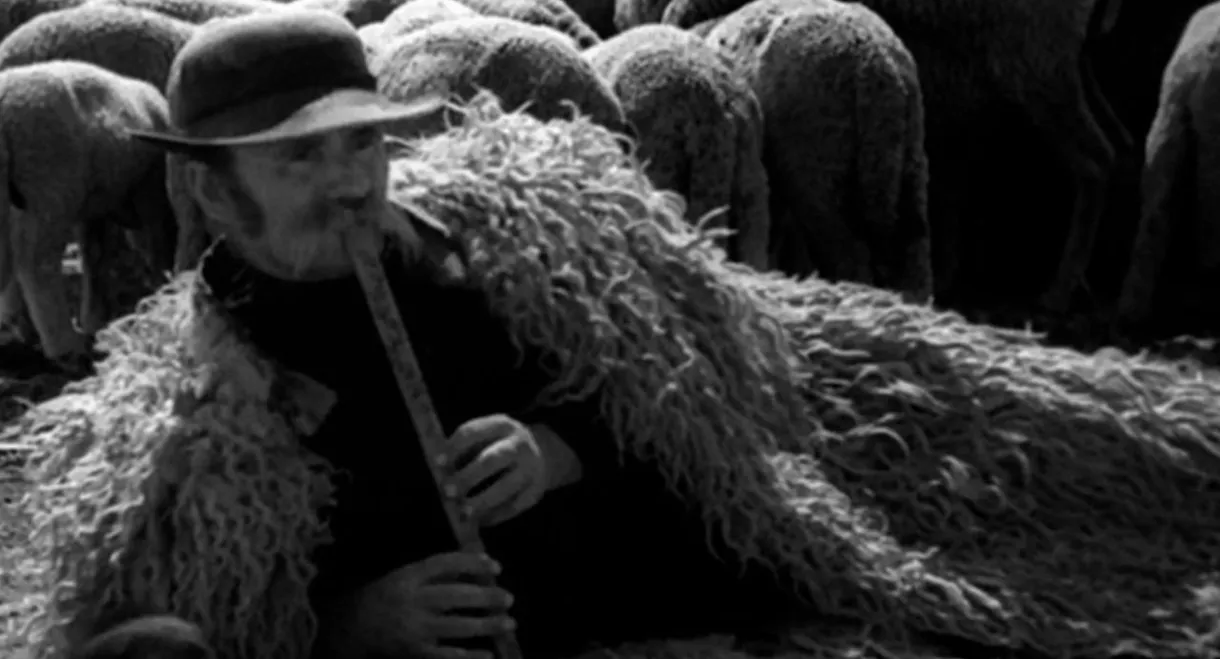 Life on the Hortobagy