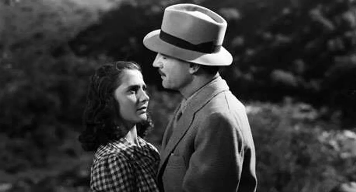 Fuego en la montaña