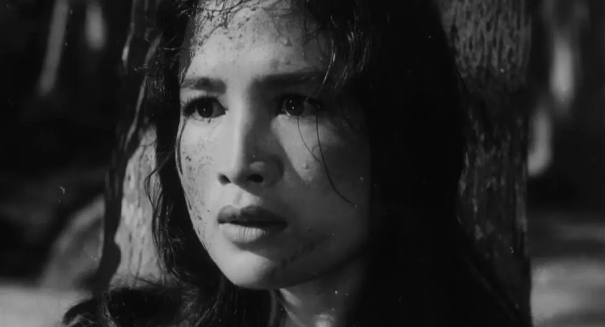 17th Parallel, Nights and Days