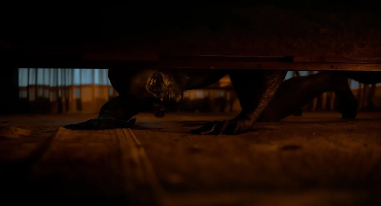 Carta de amor a la muerte