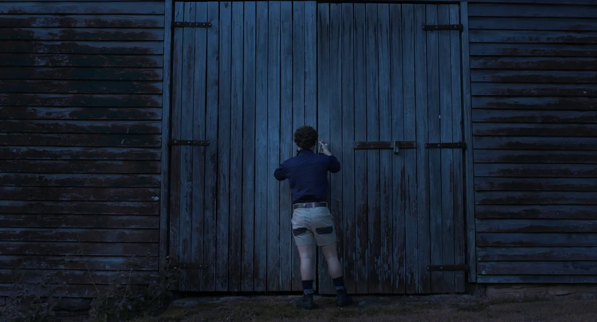 Where the Light Fades