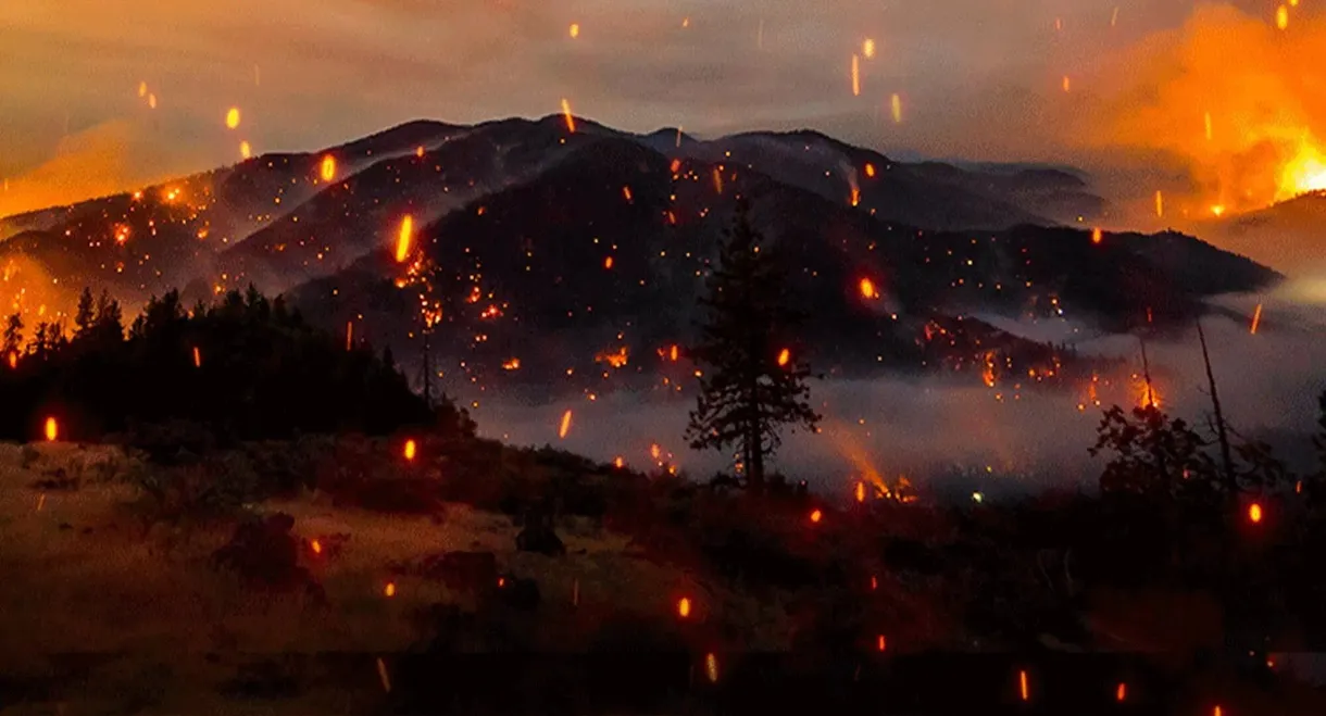 Elemental: Reimagine Wildfire