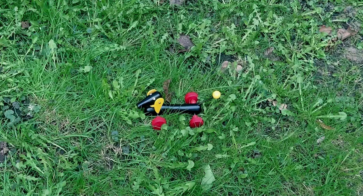 Girl Looking for Dog