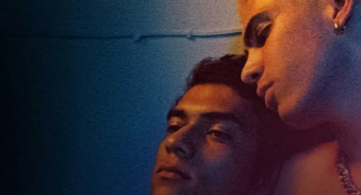 The Male Gaze: Boy Trouble