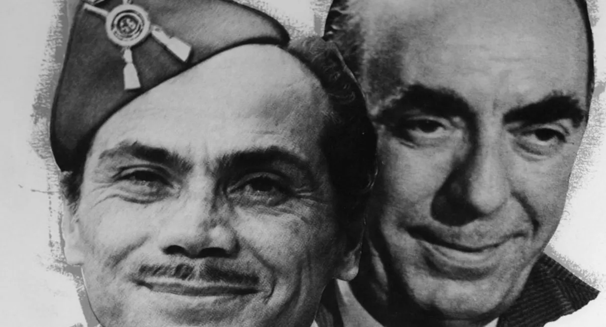 The Cannon and the Nightingale