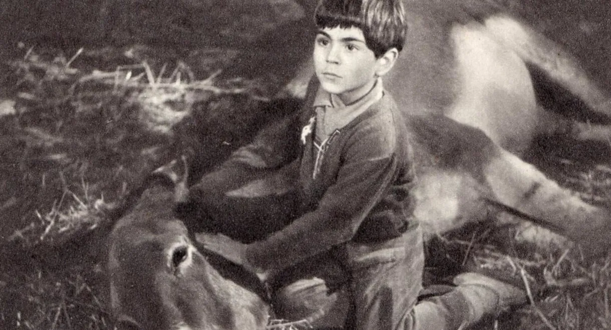 Never Take No for an Answer