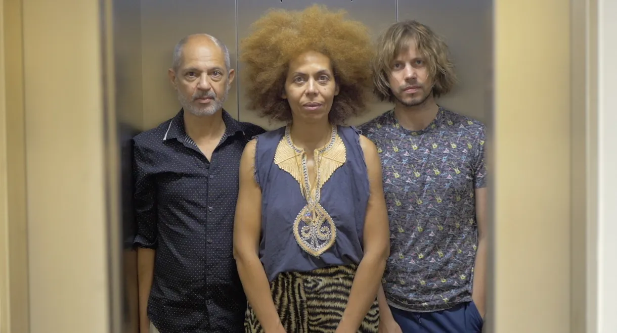 The Trees Were Spelling Love Backwards