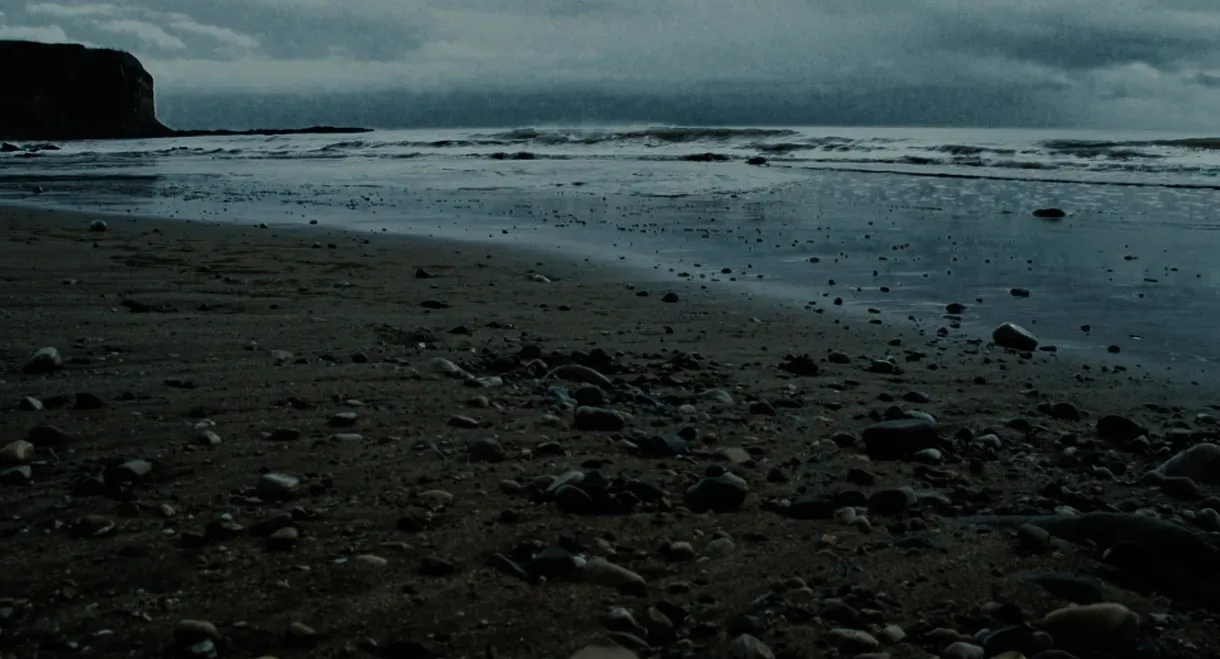 Samuel Barber: Absolute Beauty