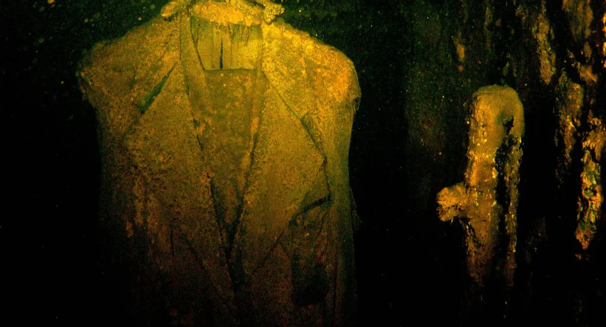 Pearl Harbor: Into the Arizona