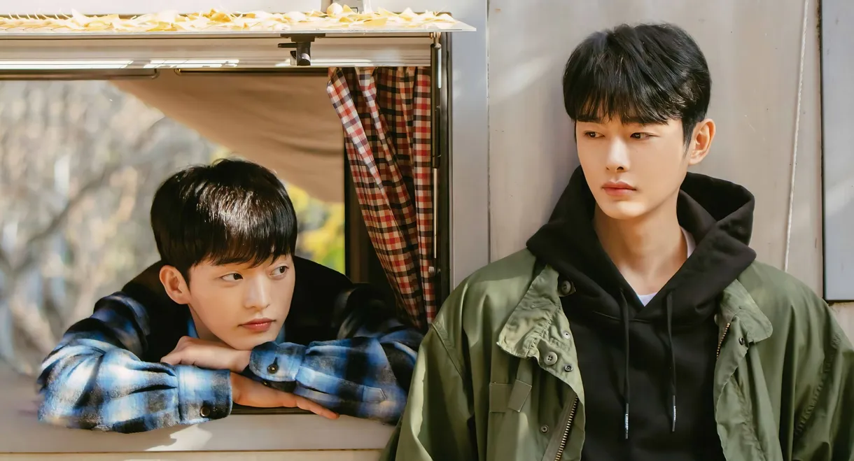 Cherry Blossoms After Winter