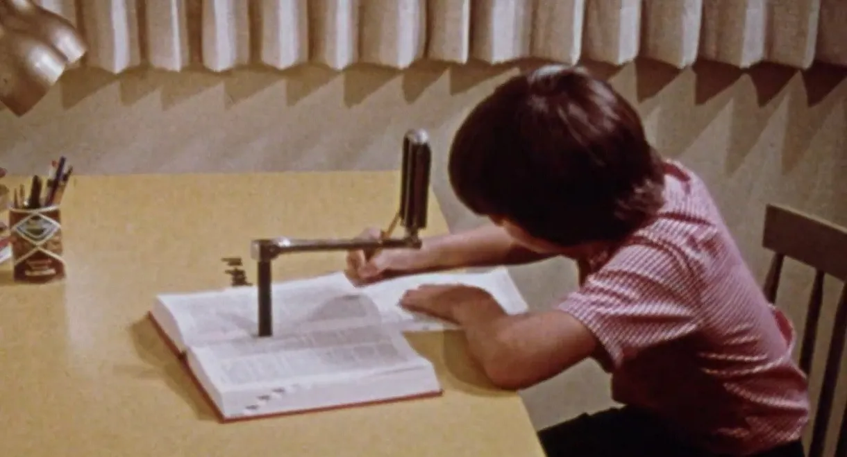 Dictionary: The Adventure of Words