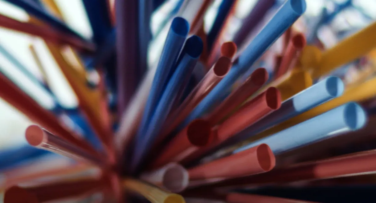 Um Presente À Prova de Futuro