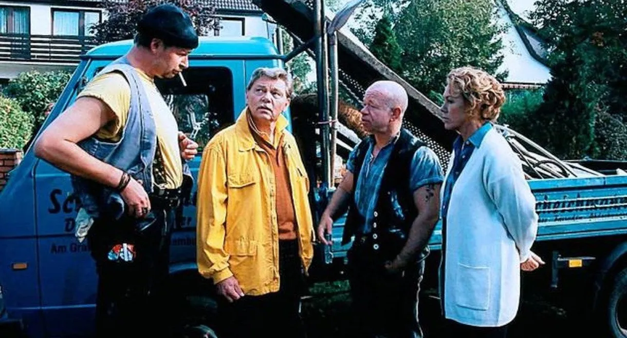 Der kleine Dachschaden