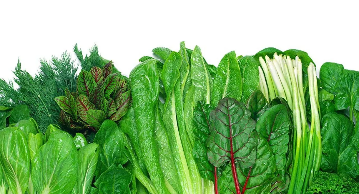 Foods That Cure Disease