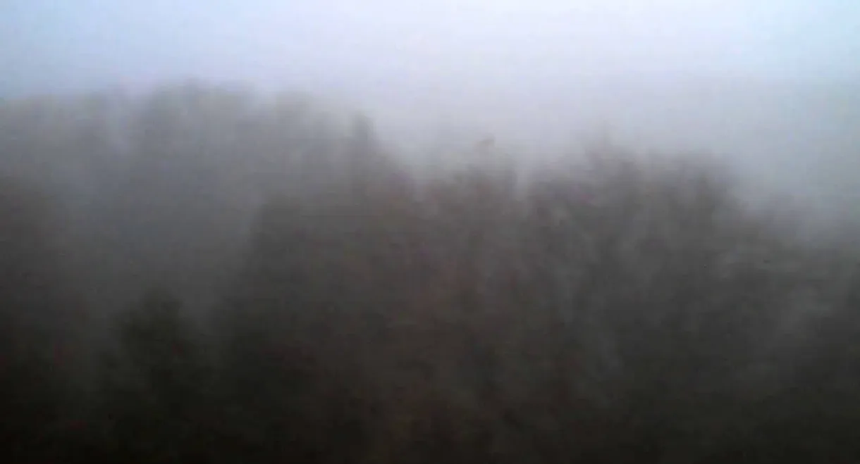 The Land Above The Trees