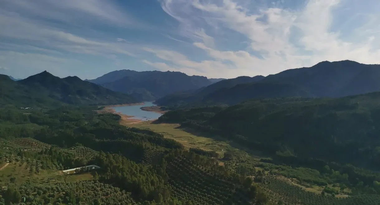 La sombra del quebrantahuesos