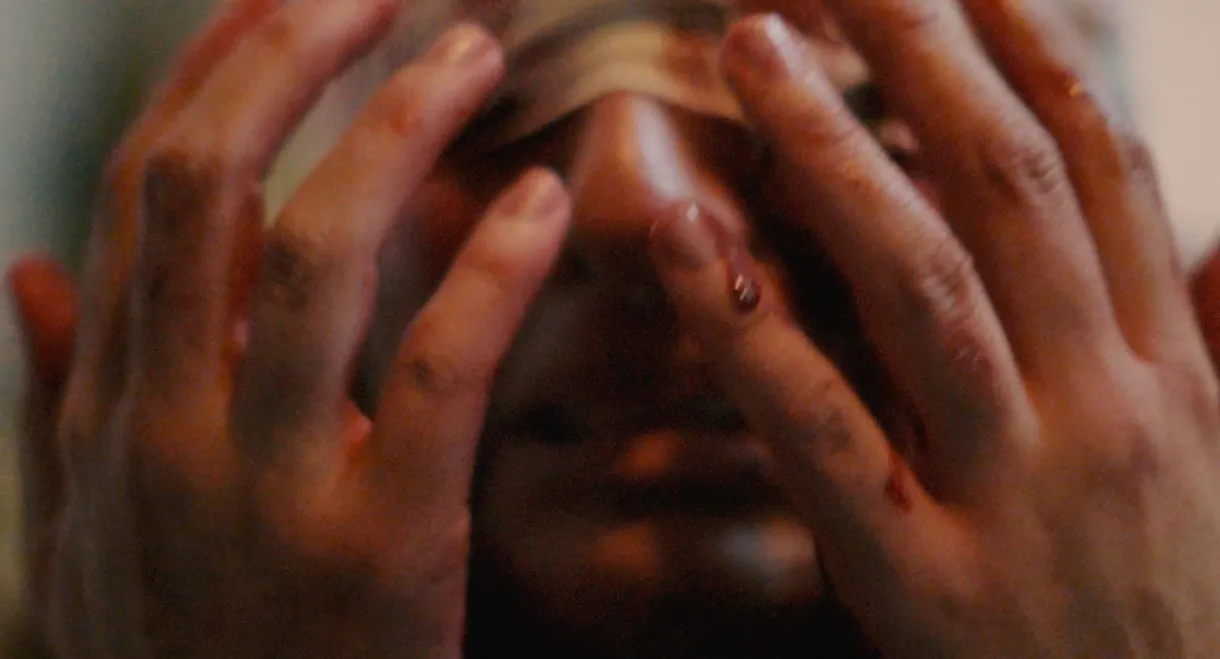 El juicio de mi mirada.