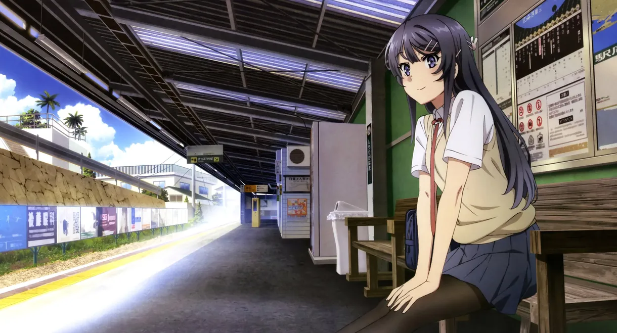 Rascal Does Not Dream of Bunny Girl Senpai