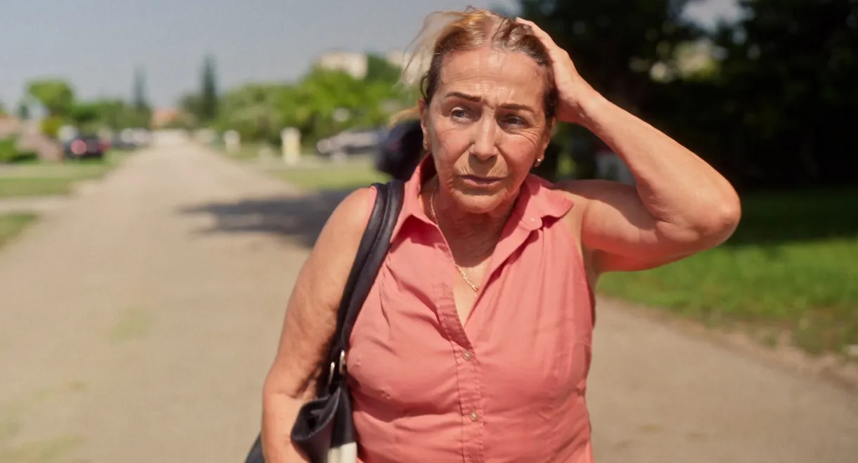 Ana and the Distance