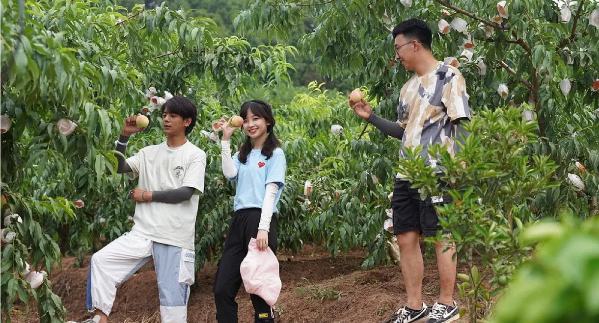 生活有点“田”