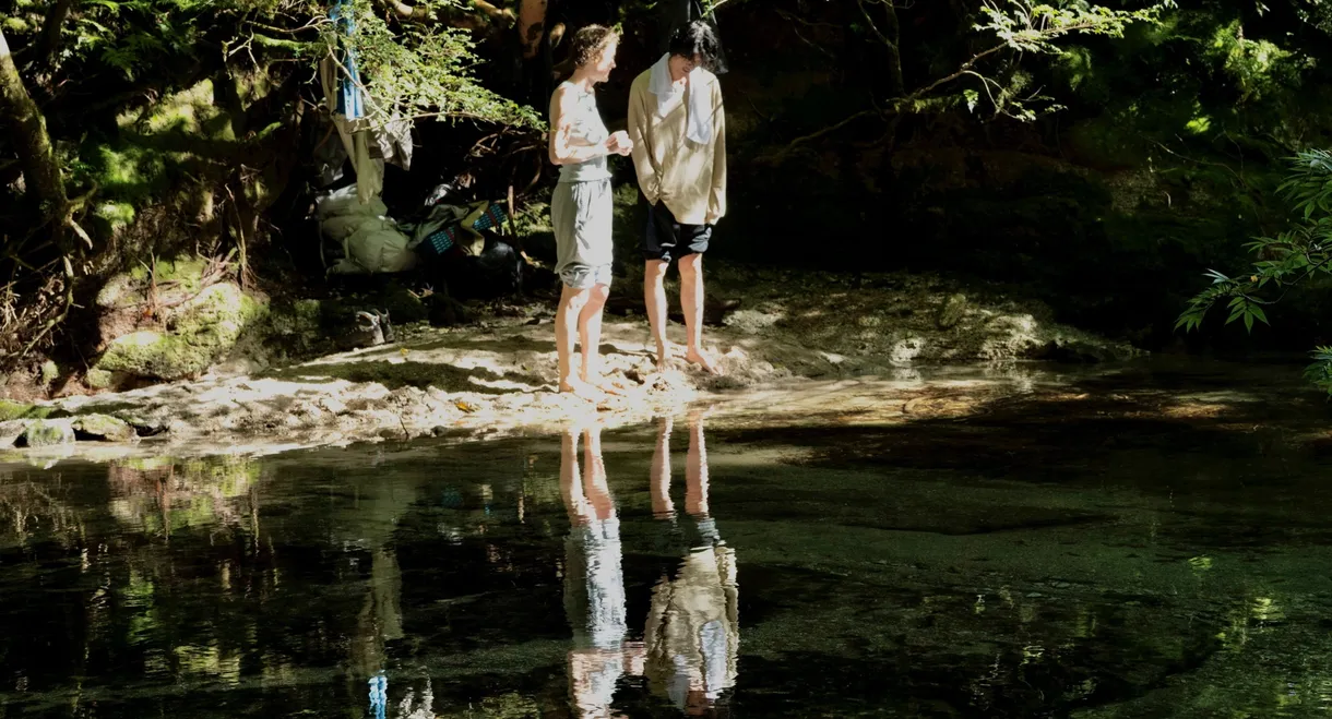 Yakushima's Illusion