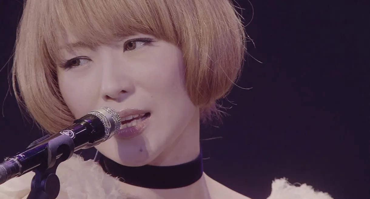 The Party Convention: 2013 Kamiyama Event