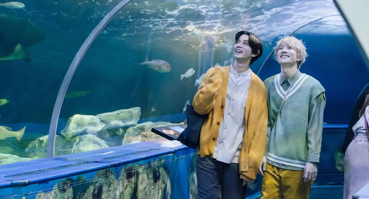 Let's Eat Together Aki and Haru: More Please!