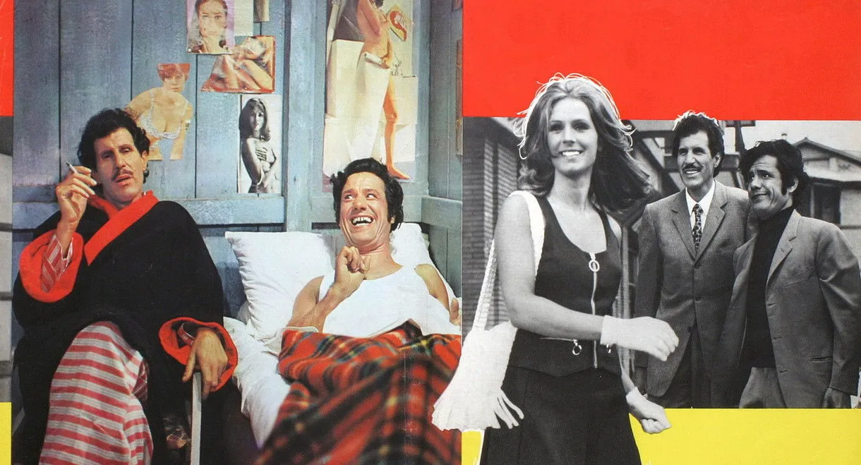 Who Gave You the License?