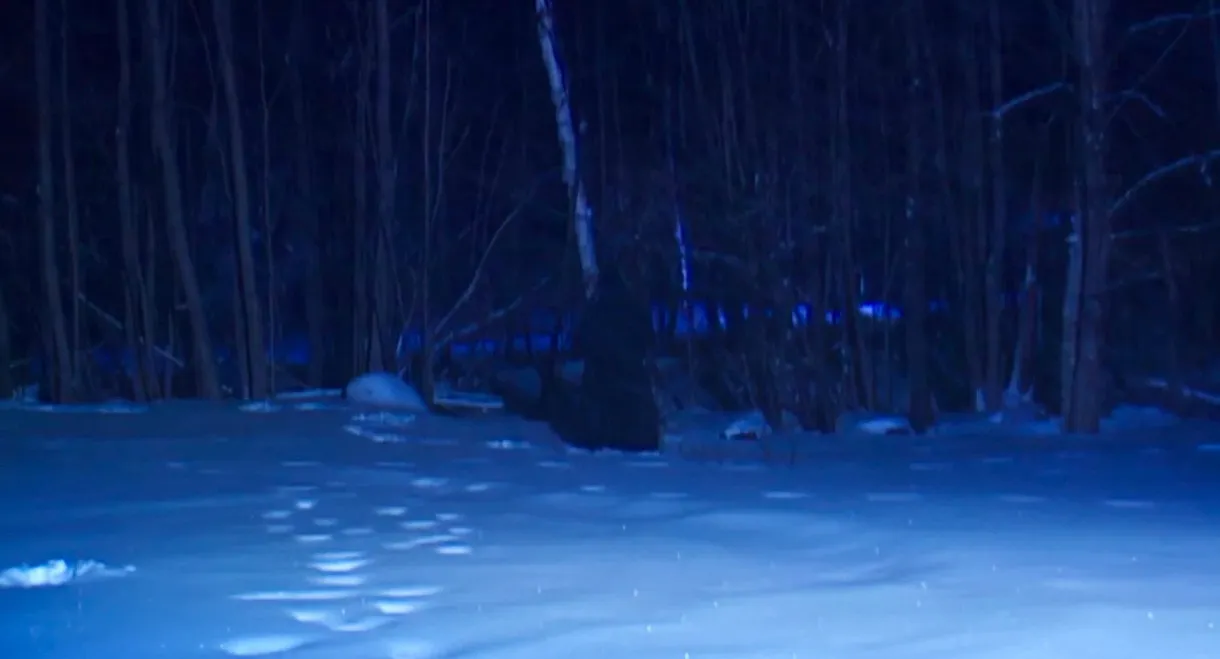 Hardcore Poisoned Eyes