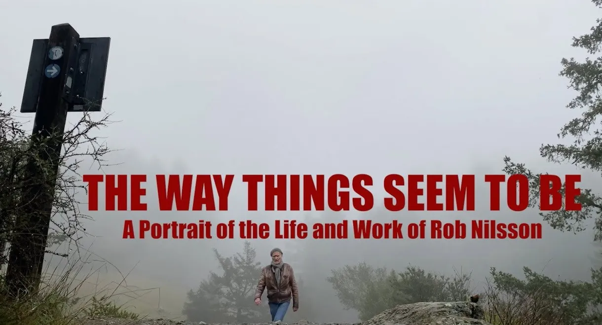 The Way Things Seem to Be