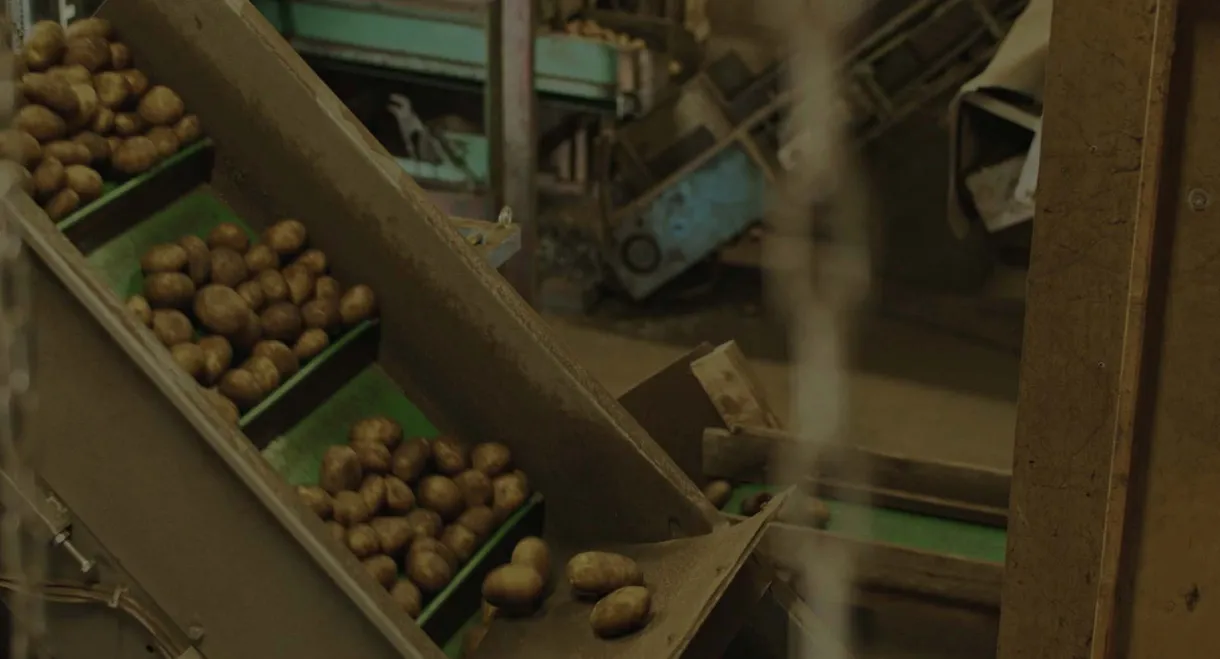 how long will you stay?